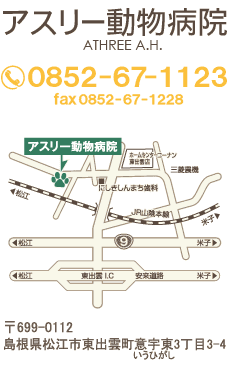 アスリー動物病院　〒699-0112 島根県松江市東出雲町意宇東3丁目3-4　TEL/0852-67-1123　FAX/0857-67-1228